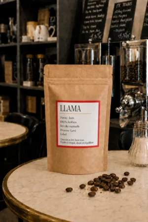 LLAMA – Pérou Jaén